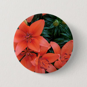 Chapa Redonda De 5 Cm Naranja Lily