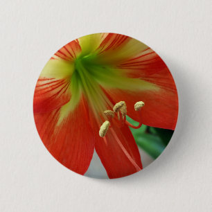 Chapa Redonda De 5 Cm naranja lily