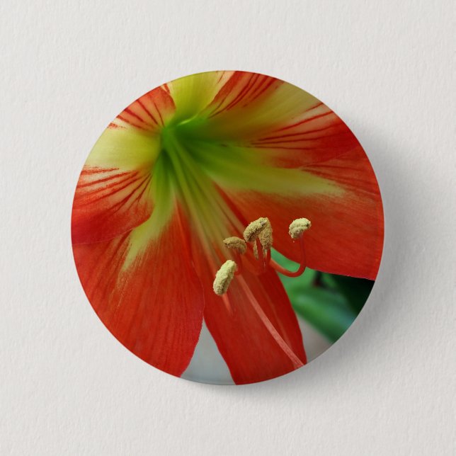 Chapa Redonda De 5 Cm naranja lily (Anverso)