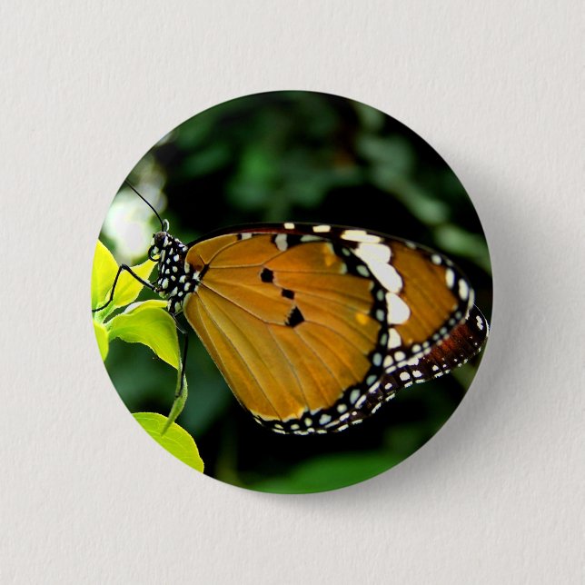 Chapa Redonda De 5 Cm Naranja, mariposa negra y blanca en hojas (Anverso)