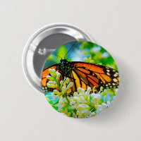 Naranja monarca mariposa foto moderna audaz elegan