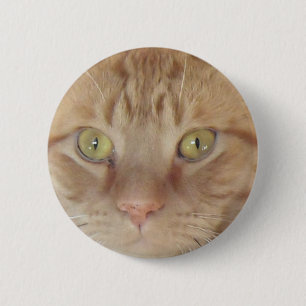 Chapa Redonda De 5 Cm Naranja Tabby Cat