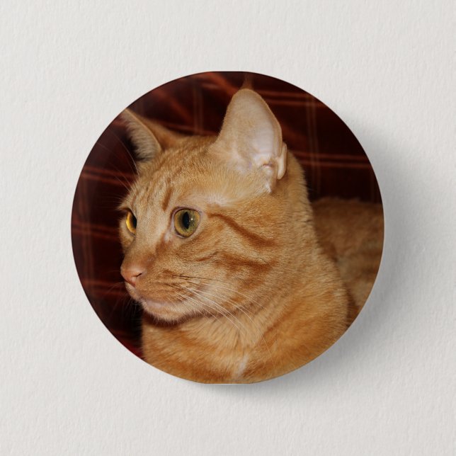 Chapa Redonda De 5 Cm Naranja Tabby Cat Face Profile (Anverso)
