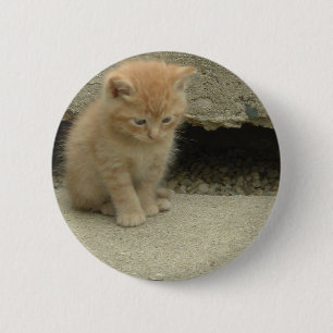Chapa Redonda De 5 Cm Naranja Tabby Kitten