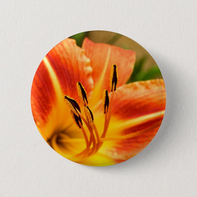 Chapa Redonda De 5 Cm Naranja Tiger Lily Badge (Anverso)