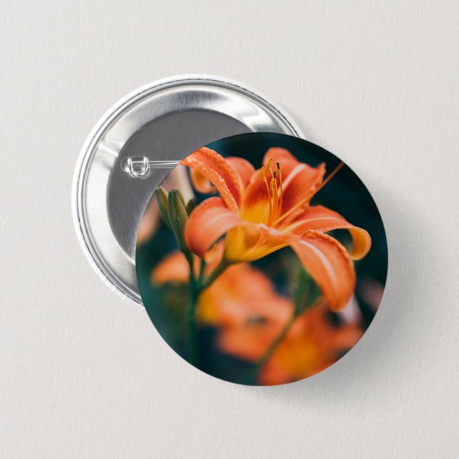 Chapa Redonda De 5 Cm Naranja Tiger Lily Flower Photo (Anverso y reverso)