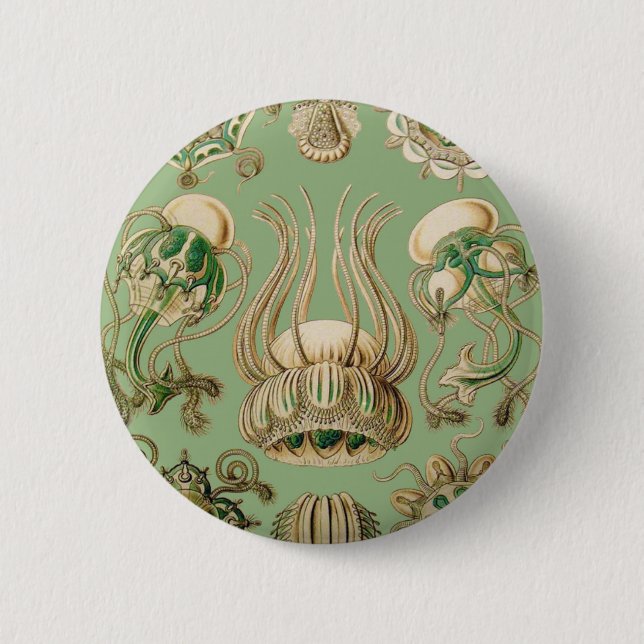 Chapa Redonda De 5 Cm Narcomedusae de Ernst Haeckel (Anverso)