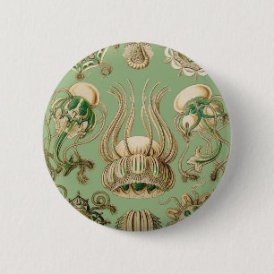Chapa Redonda De 5 Cm Narcomedusae de Ernst Haeckel