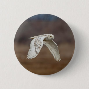 Chapa Redonda De 5 Cm Nieve en vuelo