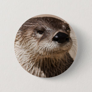 CHAPA REDONDA DE 5 CM NUTRIA