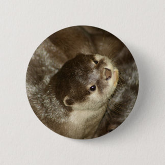 Chapa Redonda De 5 Cm Nutria