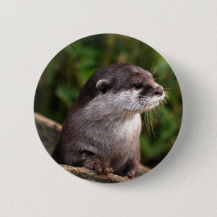 Chapa Redonda De 5 Cm Nutria gris linda