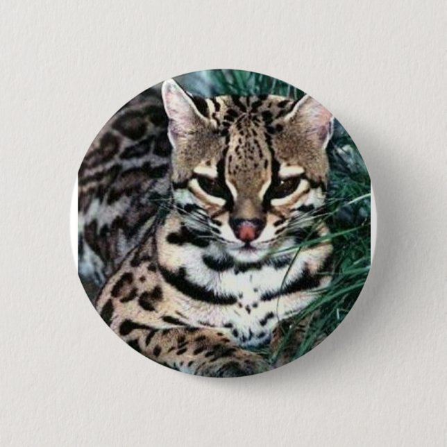 Chapa Redonda De 5 Cm Ocelot (Anverso)