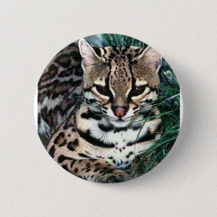 Chapa Redonda De 5 Cm Ocelot