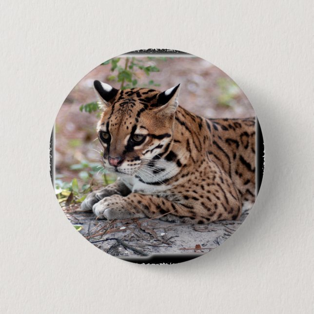 Chapa Redonda De 5 Cm Ocelot 01 11x11 (Anverso)