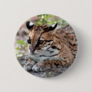 Chapa Redonda De 5 Cm Ocelot 02 9x9