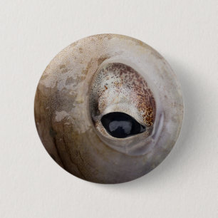 Chapa Redonda De 5 Cm Octopus Eye