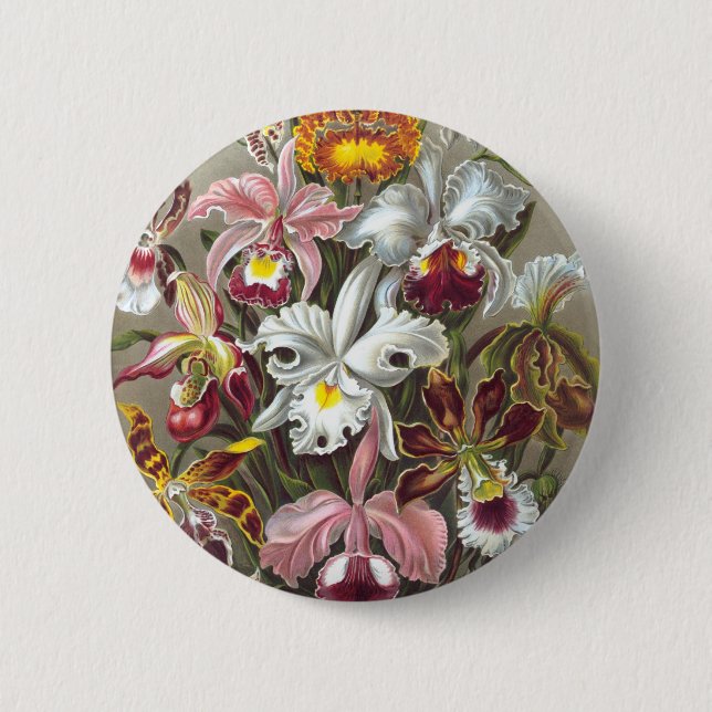 Chapa Redonda De 5 Cm Orchids Ernst Haeckel Bella Artes (Anverso)