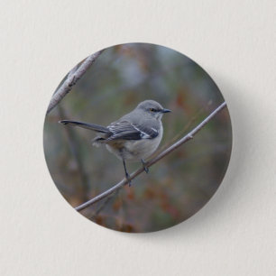 Chapa Redonda De 5 Cm Ornitología del Mockingbird