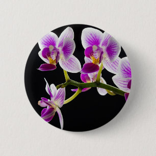 Chapa Redonda De 5 Cm Orquídea blanca y púrpura