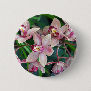 Chapa Redonda De 5 Cm Orquídeas de polilla rosa