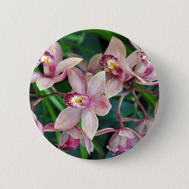Chapa Redonda De 5 Cm Orquídeas de polilla rosa (Anverso)