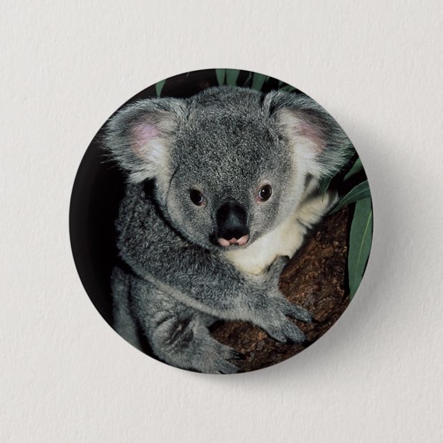 Chapa Redonda De 5 Cm Oso de koala lindo (Anverso)