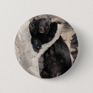 Chapa Redonda De 5 Cm Oso negro asiático