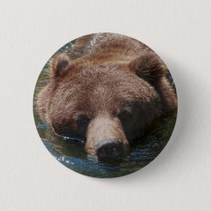 Chapa Redonda De 5 Cm Oso Pardo