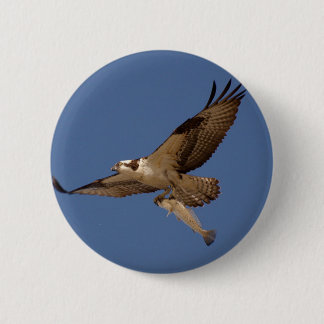 Chapa Redonda De 5 Cm Osprey Fisher