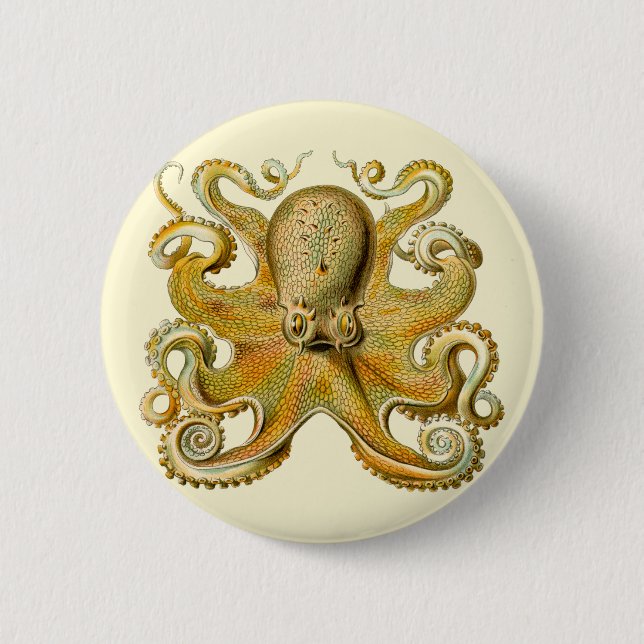 Chapa Redonda De 5 Cm Otopus ilustracion antiguo monstruo del mar (Anverso)
