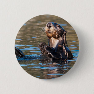 Chapa Redonda De 5 Cm Otter marino Sunny