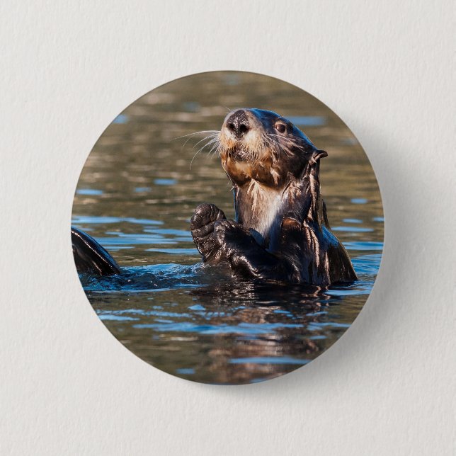Chapa Redonda De 5 Cm Otter marino Sunny (Anverso)