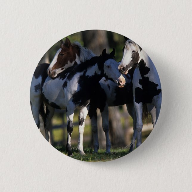 Chapa Redonda De 5 Cm Paint Horses (Anverso)