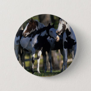 Chapa Redonda De 5 Cm Paint Horses