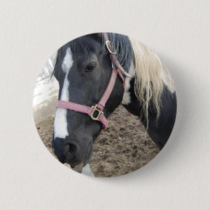 Chapa Redonda De 5 Cm Paint Pinto Horse