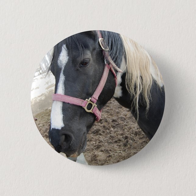 Chapa Redonda De 5 Cm Paint Pinto Horse (Anverso)
