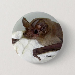 Chapa Redonda De 5 Cm Palo Libre-atado mexicano