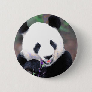 Chapa Redonda De 5 Cm Panda