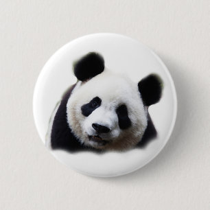 Chapa Redonda De 5 Cm Panda