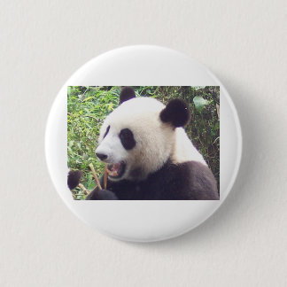 Chapa Redonda De 5 Cm Panda