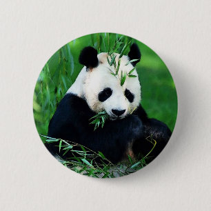 Chapa Redonda De 5 Cm Panda Eating Leaves