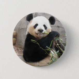 Chapa Redonda De 5 Cm Panda Snack