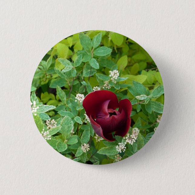 Chapa Redonda De 5 Cm parterre de fleurs au printemps (Anverso)