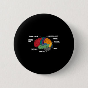 Chapa Redonda De 5 Cm Partes de la anatomía del cerebro diagrama colorid