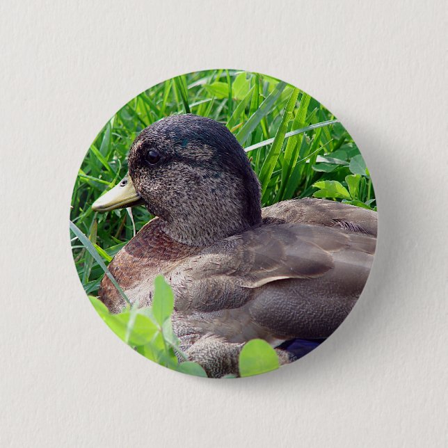 Chapa Redonda De 5 Cm Pato llamador (Anverso)
