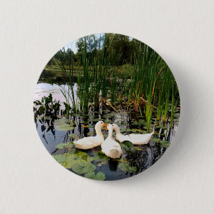 Chapa Redonda De 5 Cm Patos blancos clásicos en un lago hermoso