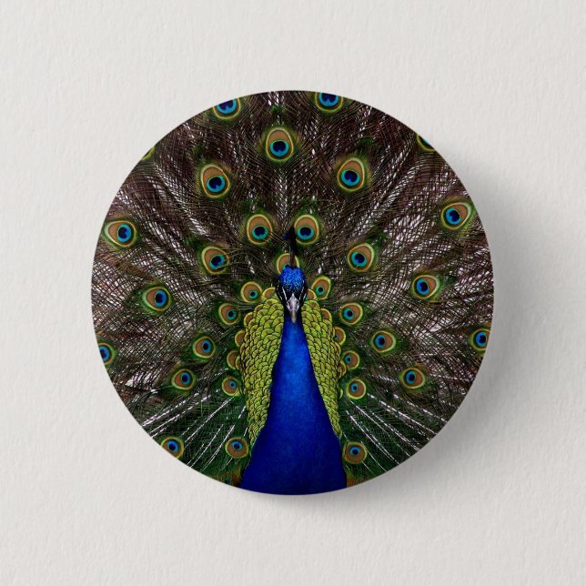 Chapa Redonda De 5 Cm pavo real (Anverso)