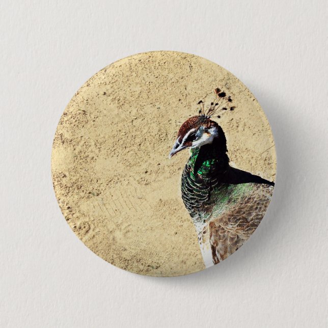 Chapa Redonda De 5 Cm Pavo real (Anverso)