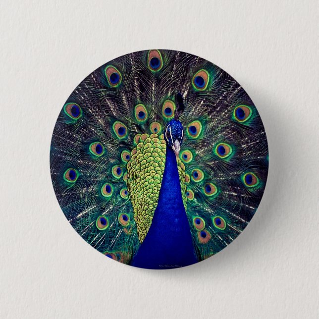 Chapa Redonda De 5 Cm Pavo Real Azul Cobalto (Anverso)